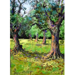 Margaret Evans / Olive Trees