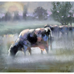 Corry Kooy / Cows in the morning