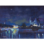 Terri Ford / Notre-Dame la nuit