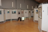 Exposition & Stages